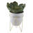 11.5'' Faux Succulent Plant in Ceramic Pot-33652215