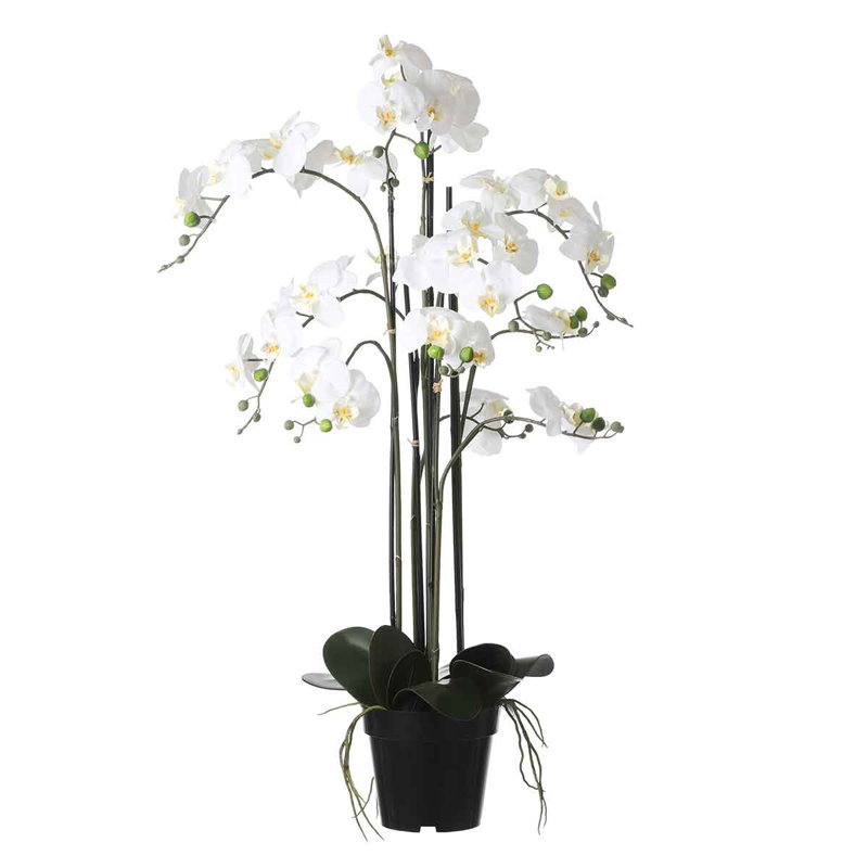 Faux Flowering Plant in Pot, White, 97cm H x 19cm W x 19cm D