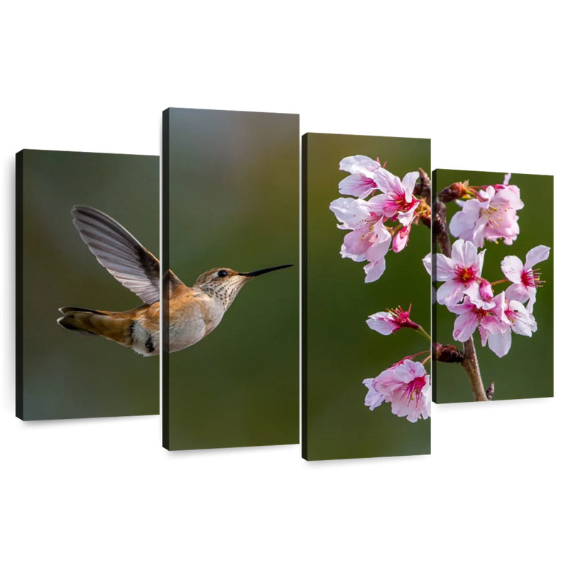Brampt Cherry Blossom Hummingbird