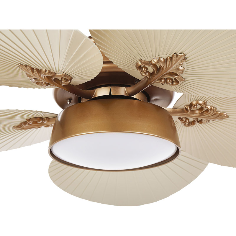 Marjane 130cm Ceiling Fan with LED Lights