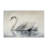 Elegant Floating Swan Canvas, design by Sasha