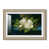 Champagne Leaf Relief
