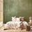 Olive Green Concrete Texture Wall Mural-2141660917