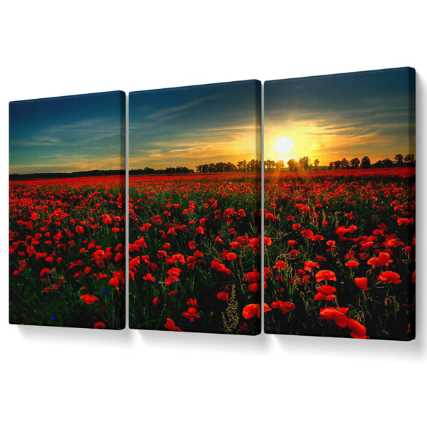Ebern Designs Red Flower Garden - 3 Piece Wrapped Canvas Print ...