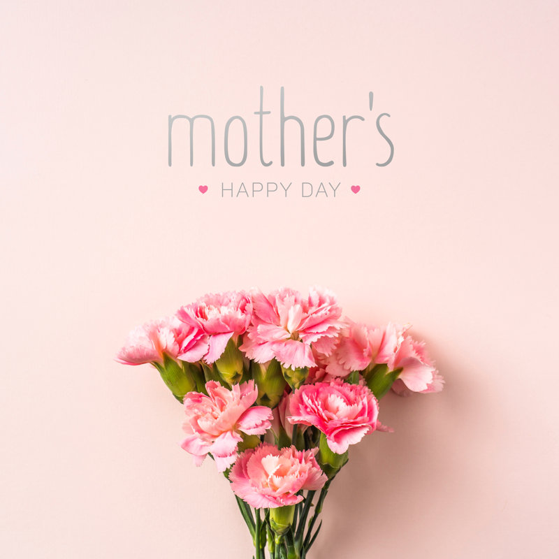 Martensdale Carnation For Mother's Day - Wrapped Canvas Print, 51cm H x 51cm W x 3.8cm D