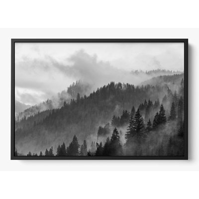 "Grey Mountain"