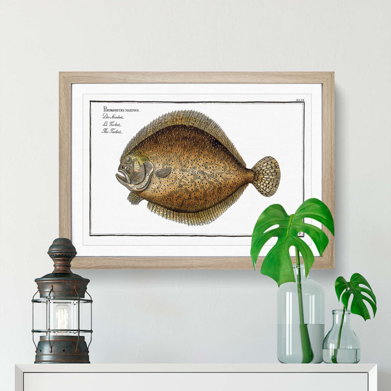Turbot Fish by M.E. Bloch - Picture Frame Painting Print on MDF, 27cm H x 36cm W x 2cm D, Oak Framed