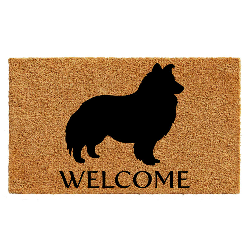 Vasilos Non-Slip Outdoor Doormat, 0.6" L x 36" W x 24" D