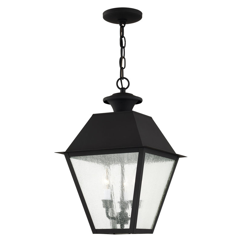 Fraida Bulb Outdoor Hanging Lantern, Black