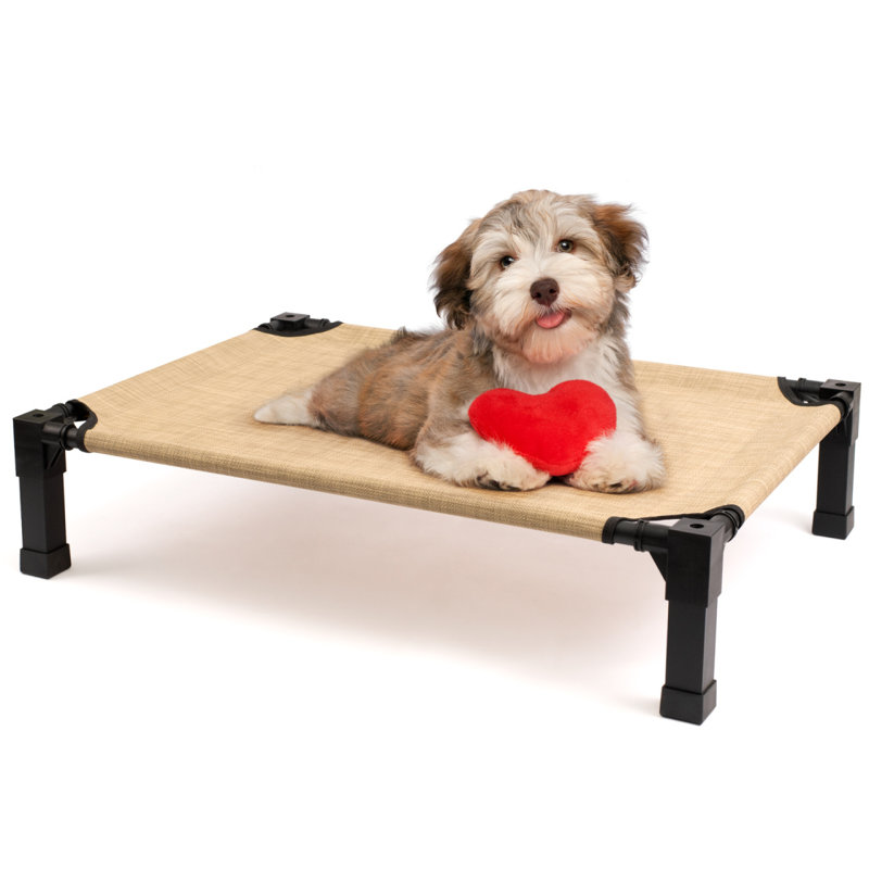 Lit pour chien Cooling Elevated, H 9,3 po x l 51 po x P 36,1 po, Tanné