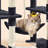Dainel Multi-Level Cat Tree-108205383