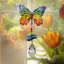 Papillon Crystal Wonders ™