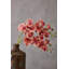Fiori Orchid Arrangement