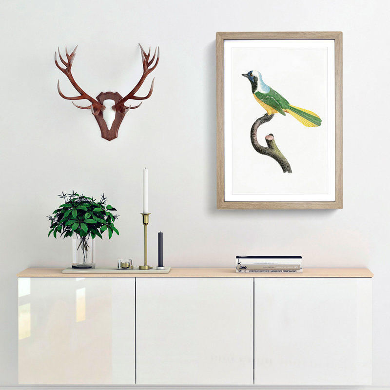 Peruvian Jay Bird by Jacques Barraband - Picture Frame Painting Print, 36cm H x 27cm W x 2cm D, Oak Framed