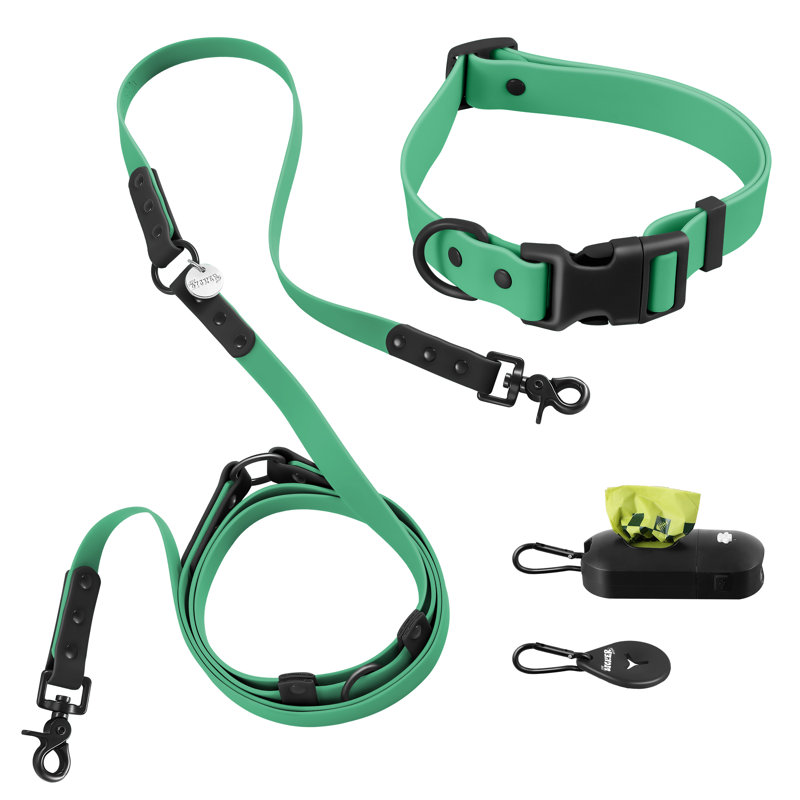 Laisse ajustable mains libres et collier 6-en-1 avec lampe DEL Luna 8 pi, Émeraude / noir, Large