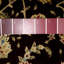 Oriental Area Rug in Burgundy