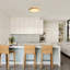 Damiyon 1-Light LED Flush Mount-295102888