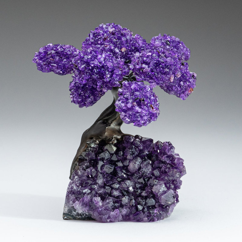 Medium Amethyst Clustered Gemstone Tree on Amethyst Matrix (The Protection Tree)