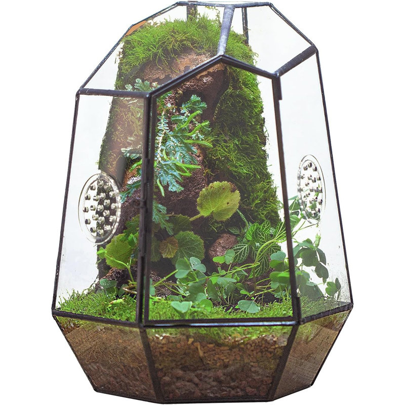 Closed Geometric Glass Enclosure With Front Opening Door