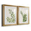 «Botanical Wash I», ensemble de 2 reproductions d'art sur toiles-455244312-455244319-455244315