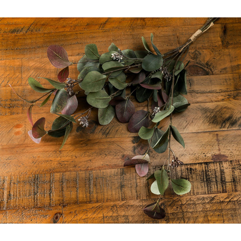 Anastasija Arrangement