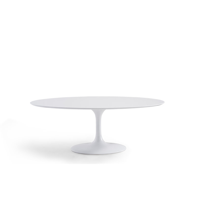 Cheatham Courtemanche Lippa White Oval Dining Table, 30" H x 78" L x 48" W 