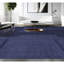 Area Rug in Blue