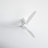 Merida 52'' Ceiling Fan with LED Lights