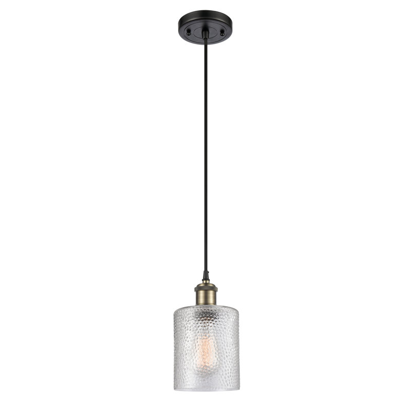 Willamette 1 - Light Single Pendant, Clear, No Bulb Included, Black Antique Brass