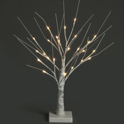 Decorative Accent