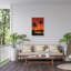 Jaziel Philippe Sainte-Laudy-87945780