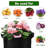 Tonecia Nursery Pot-2010359609