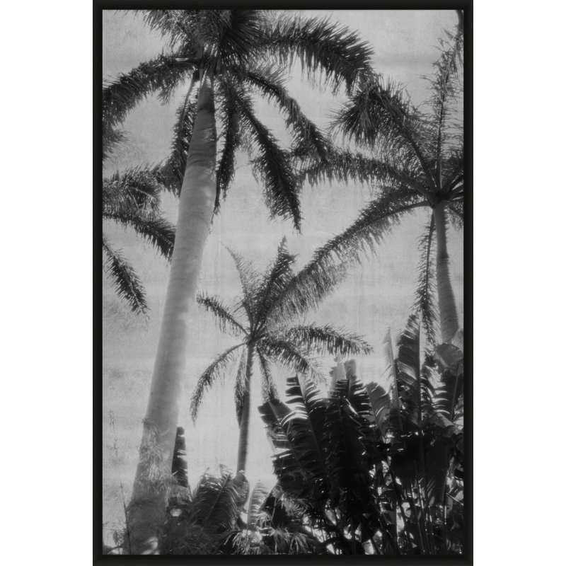 Silver Palms 3' Framed Photographic Print