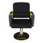 Chaise de salon hydraulique (paquet simple)