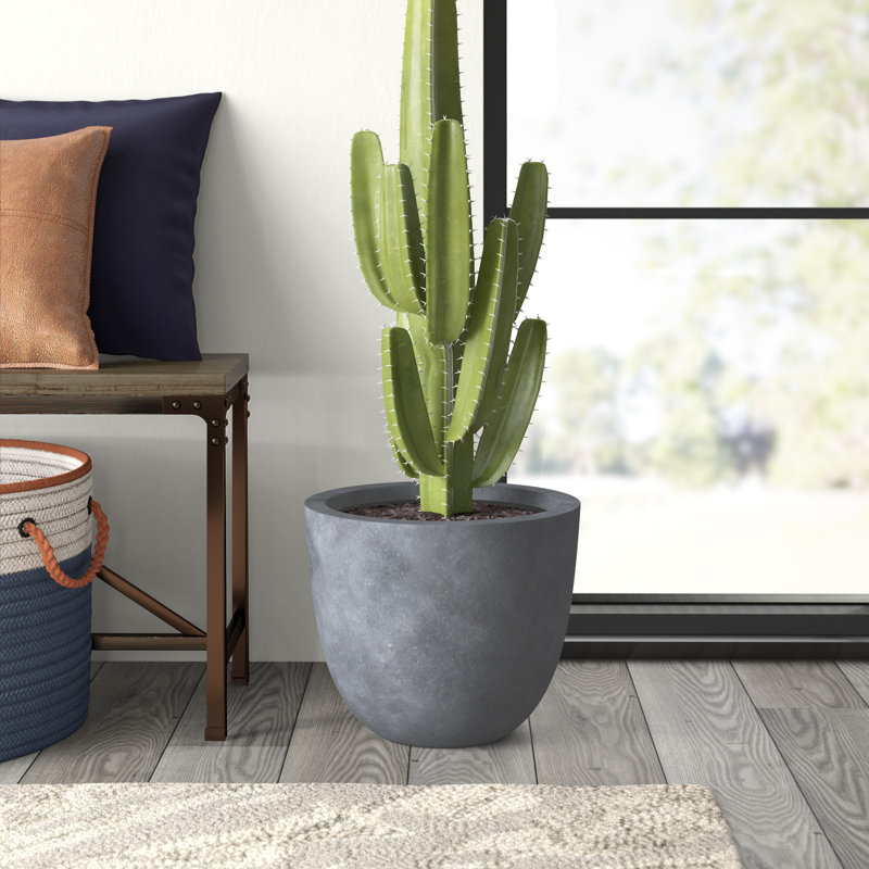 Karola Pot Planter, 9" H x 10" W x 10" D, Cement