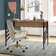 Mercury Row® Juliet Metal Base Writing Desk & Reviews | Wayfair