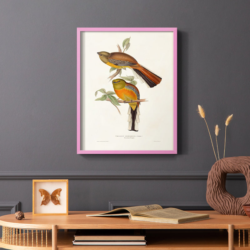 Impression encadrée Elegant Trogons II - bois massif, H 10 po x l 8 po, Cadre photo rose simple