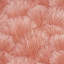 Fondale Wallpaper-206693064