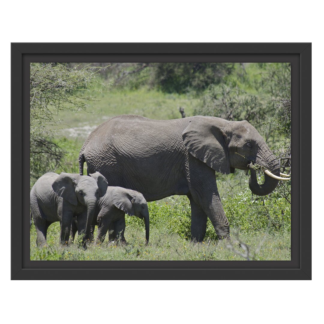 Gerahmter Fotodruck Zugvogel-Familie