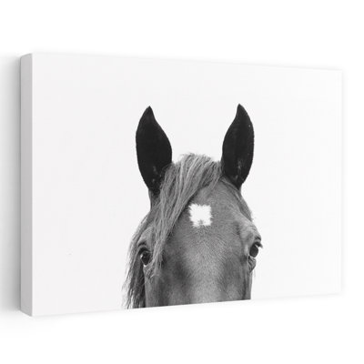«Peeking Horse», art mural cheval contemporain