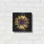 «Sunny Bloom» par Leah McLean-1487200771
