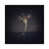 Toile avec cadre noir