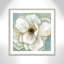 «Molter Soft Teal Splendor II», reproduction de peinture acrylique encadrée-742440547-742440559