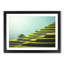 Rice Plantation in Cambodia - Picture Frame Painting Print-55598979-55598981