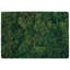 Jainee Area Rug-1533415969