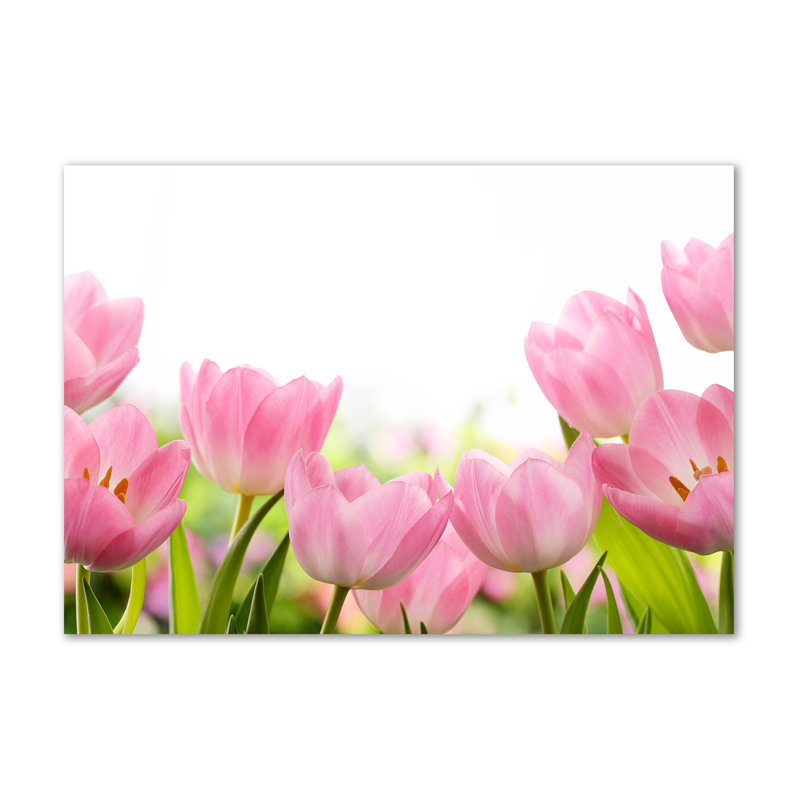 Pink Tulips - Wrapped Canvas Print