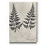 « Vintage Fern Study I », reproduction d’art sur toile tendue-570169901
