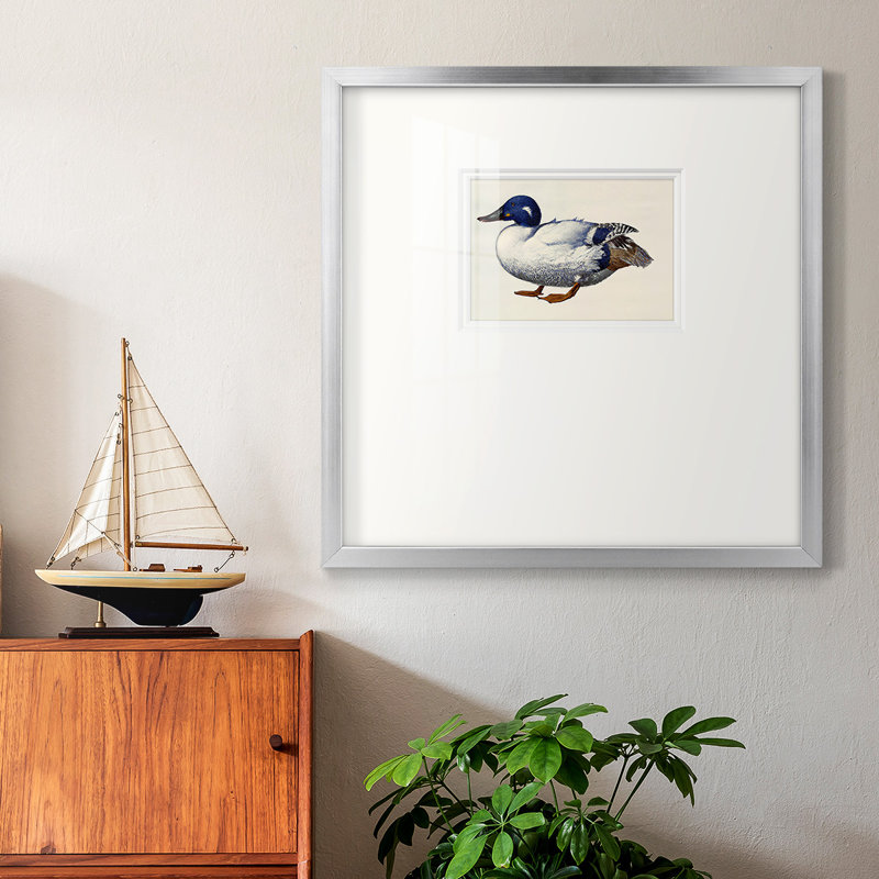 «White and Blue Mallardpremium», reproduction encadrée, H 17 po x l 17 po, Cadre noir