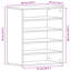 10 Pair Shoe Storage Cabinet