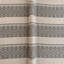 Telluride Laredo Fabric